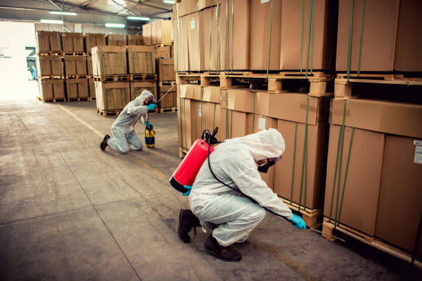 Best Affordable Pest Control Services  in Highland Falls, NY