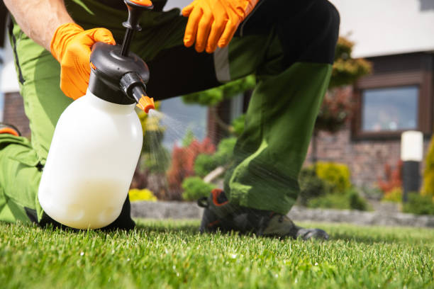 Best Pest Inspection Near Me  in Highland Falls, NY