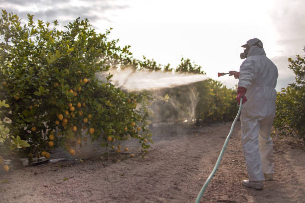 Best Termite Control Services  in Highland Falls, NY