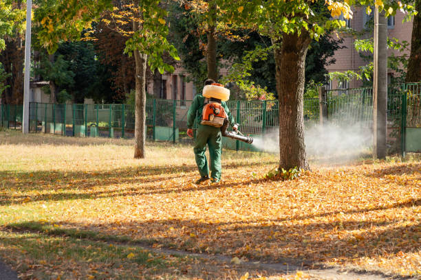 Best Insect Control  in Highland Falls, NY