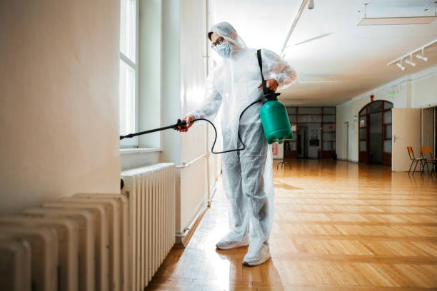 Flea Control Services in Highland Falls, NY