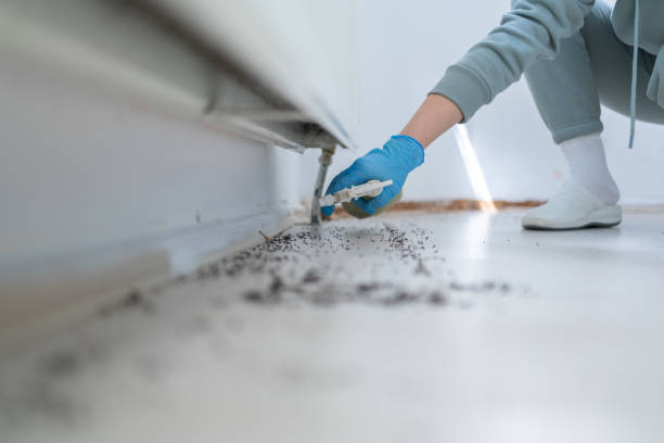 Best Wildlife Control Services  in Highland Falls, NY